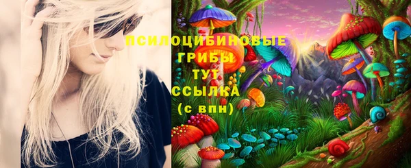 крисы Гусиноозёрск
