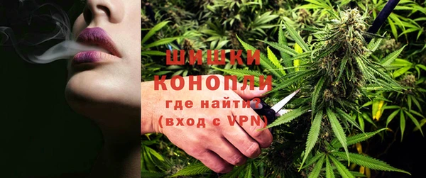 крисы Гусиноозёрск