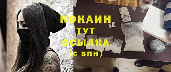 крисы Гусев