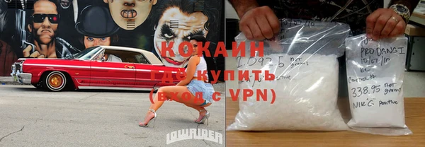 крисы Гусев